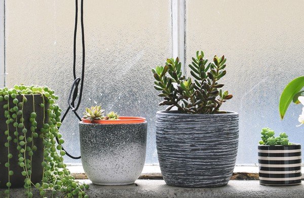 Bài trí không gian phòng cũng là một cách để tạo giấc ngủ ngon